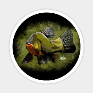 Tench Magnet